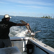 Picture 007